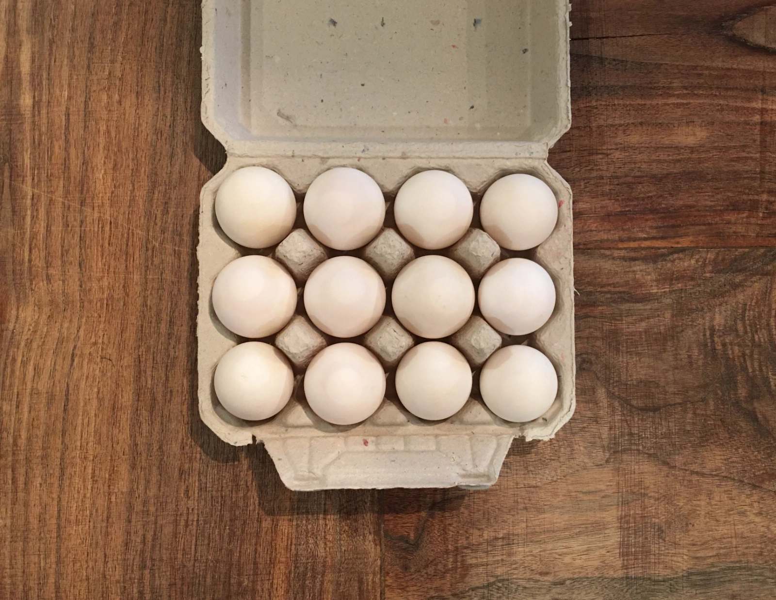 duck-eggs-pastureraised-nongmo-fed-